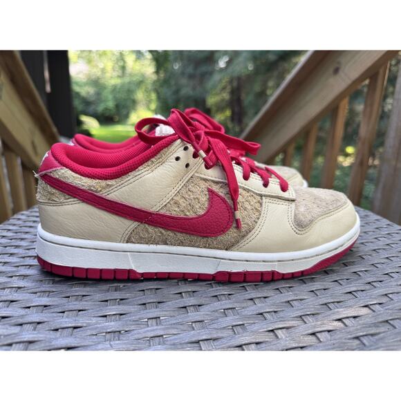 Men\'s Nike Dunk Low Retro SE \